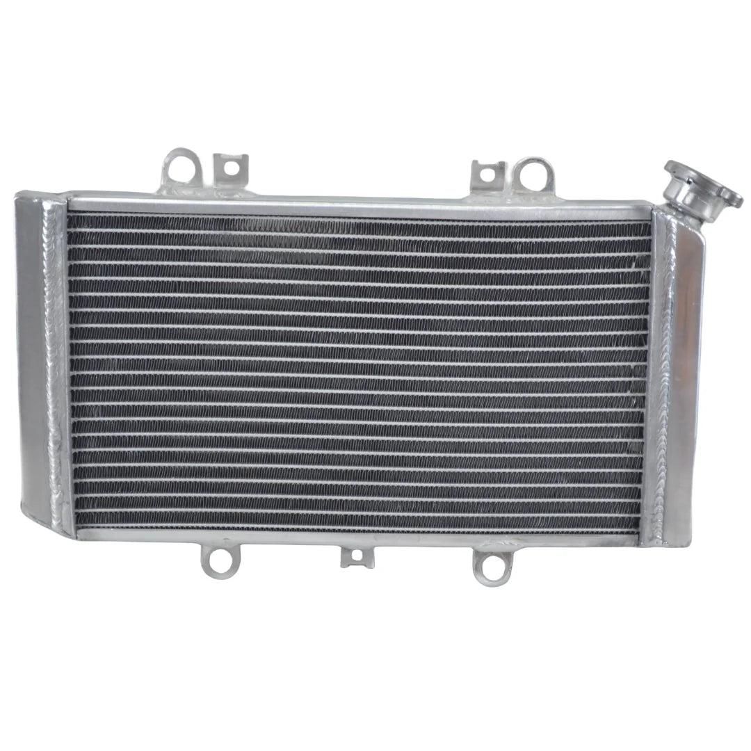 Radiador Quadriciclos Atvs Grizzly YFM 660 Yamaha