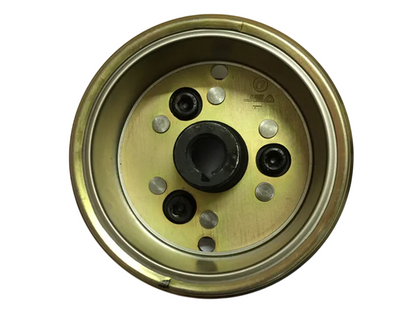 Rotor Magneto Com Placa E Engrenagem Da Partida Quadriciclos Atvs 250 Loncin