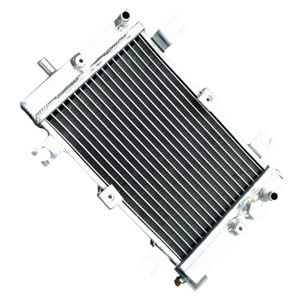 Radiador Quadriciclos Atvs Ds 250 Can Am