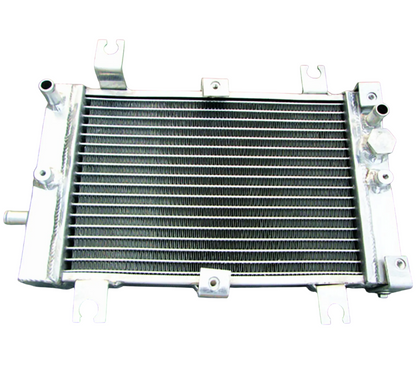 Radiador Quadriciclos Atvs Ds 250 Can Am