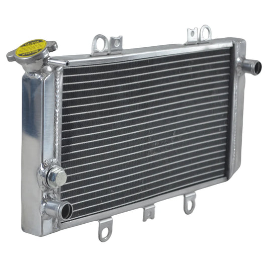 Radiador Quadriciclos Atvs Grizzly YFM 660 Yamaha