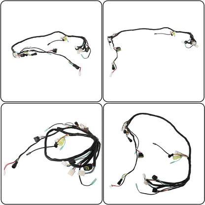 Chicote/ Fiação Completa Quadriciclos Atvs Raptor 350 Yamaha